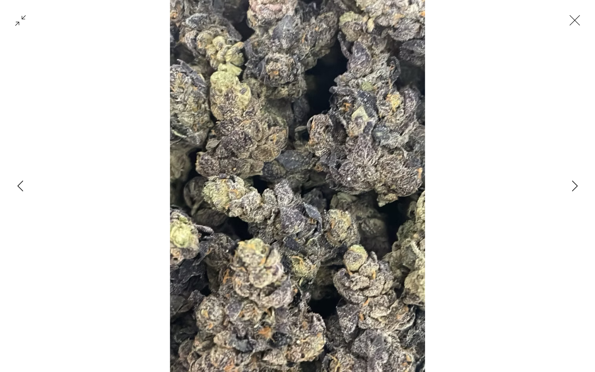Guccizz Luxury High THCA Flower (S) Guava Haze / 3.5G (1/8oz)
